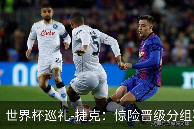 世界杯巡礼-捷克：惊险晋级分组不错，中场老将是攻防转换之本