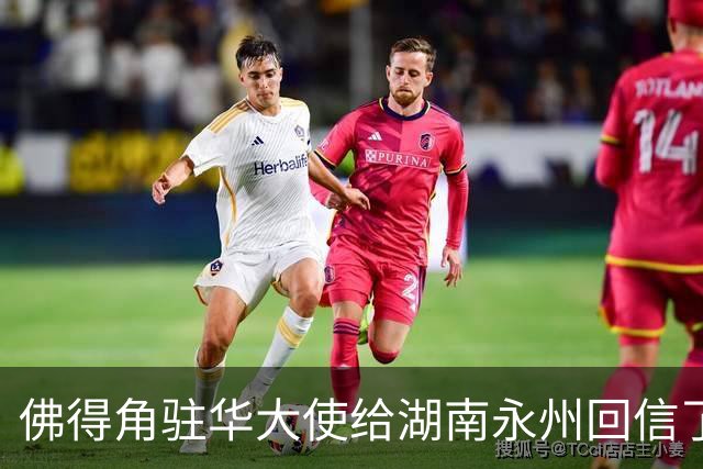 佛得角驻华大使给湖南永州回信了