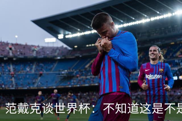 范戴克谈世界杯：不知道这是不是我在国家队的最后一届大赛