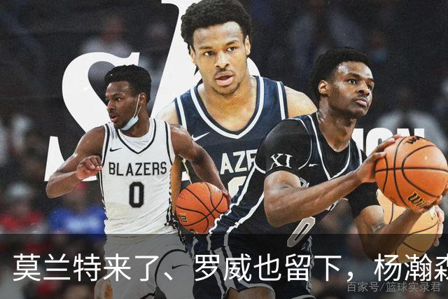 莫兰特来了、罗威也留下，杨瀚森第二季真正考题，是能否挤进开拓者的轮换阵容